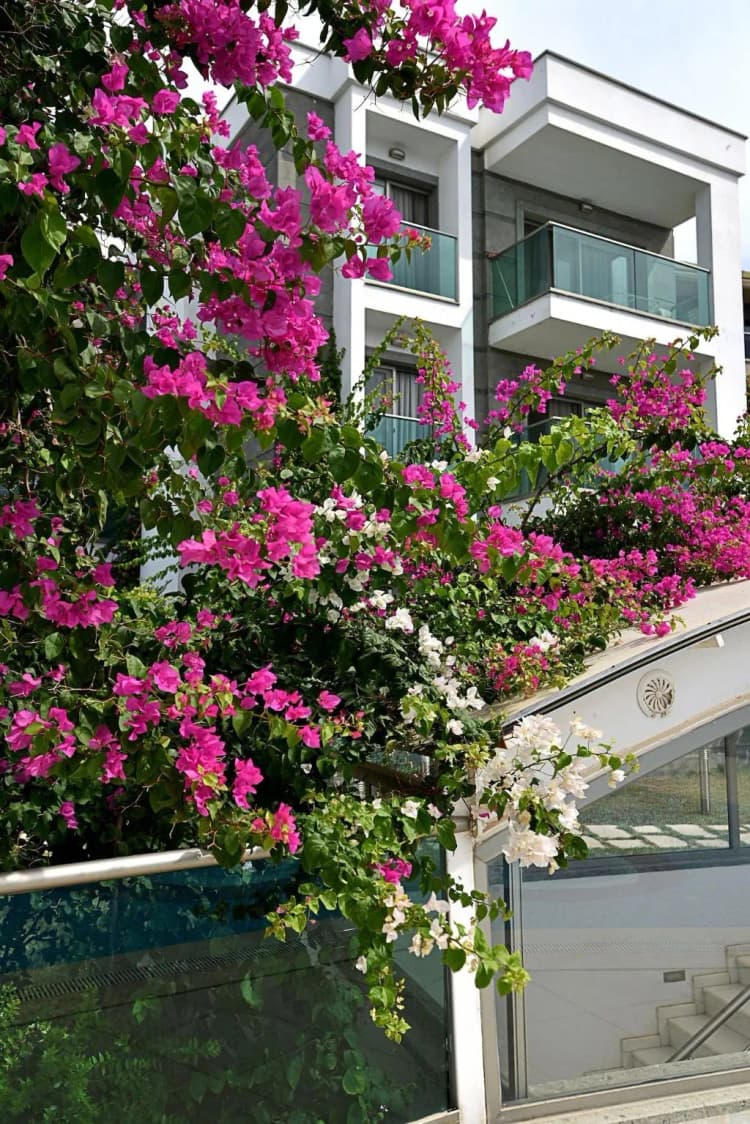 General view, Royal Palm Residence, Bodrum