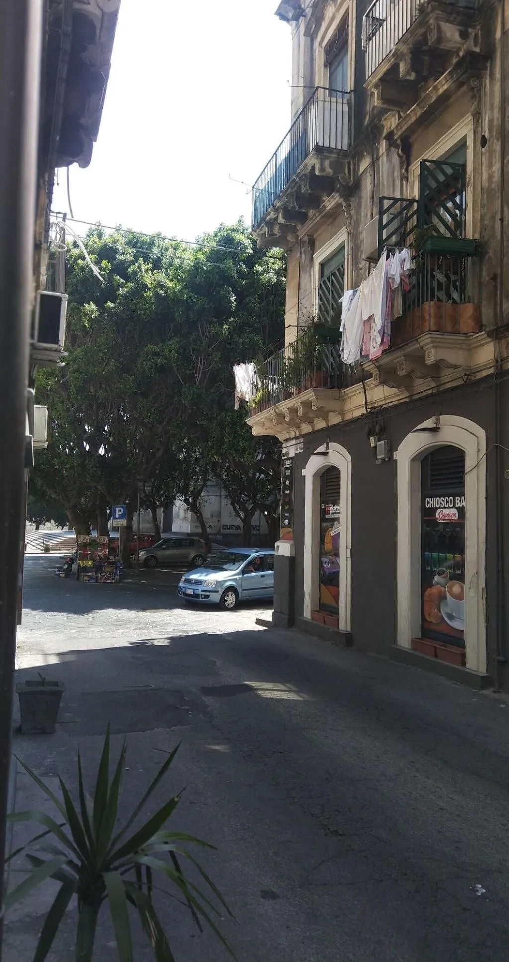 General view, Dante Rooms, Catania