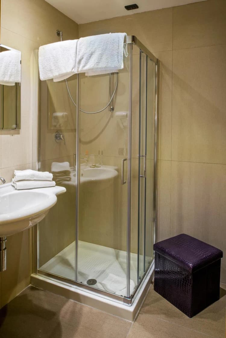 DOUBLE SINGLE USE STANDARD Room, Hotel Roma Sud, Rome