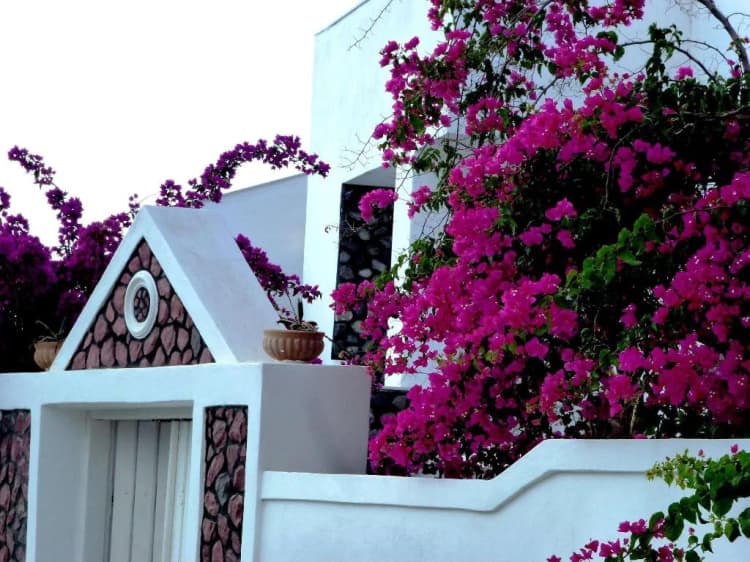 General view, Atalos Suites, Santorini