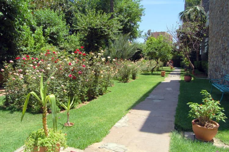General view, Amine, Marrakech