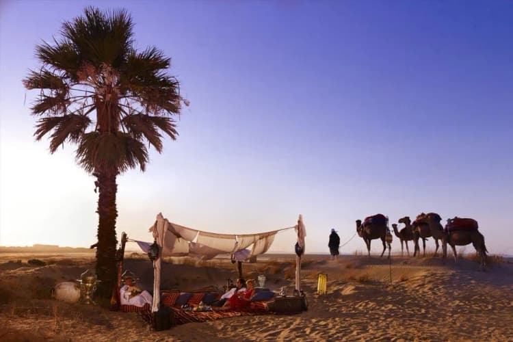 Beach, The Residence Tunis, Tunisia