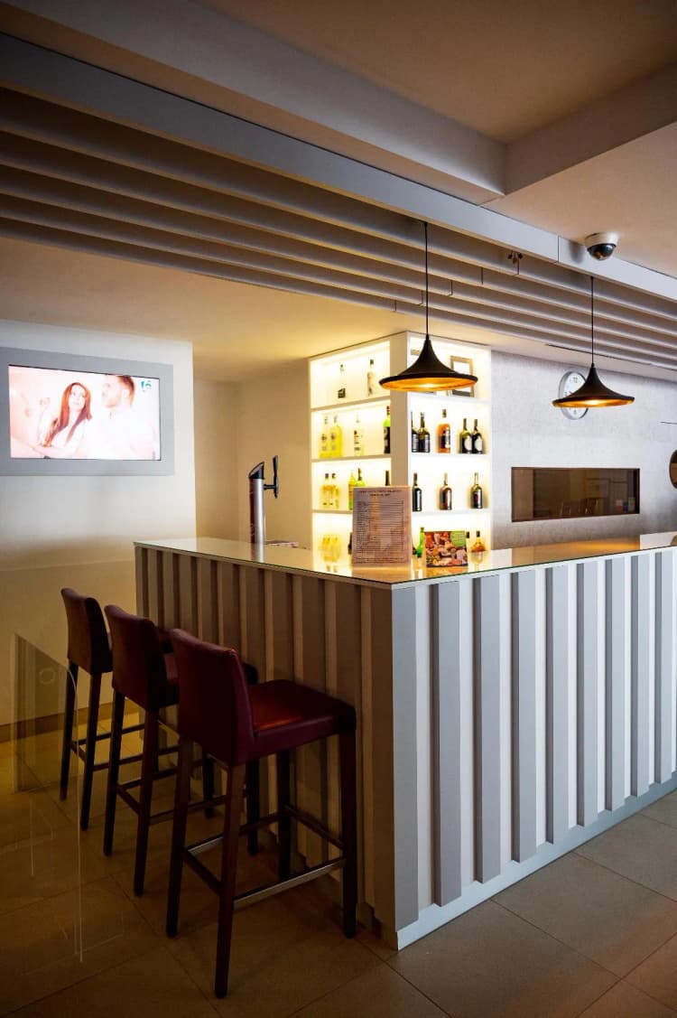 Bar, Park Hotel Valongo, Porto