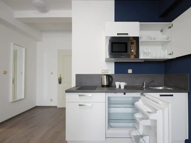 APARTMENT CAPACITY 3 Room, Alveo Suites, Prague