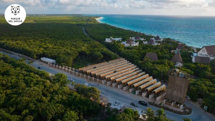 Beach, Holiday Inn Tulum Downtown, Cancun Area