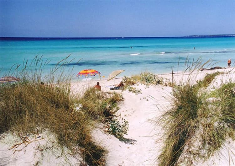 Beach, Venecia Apartamentos, Majorca