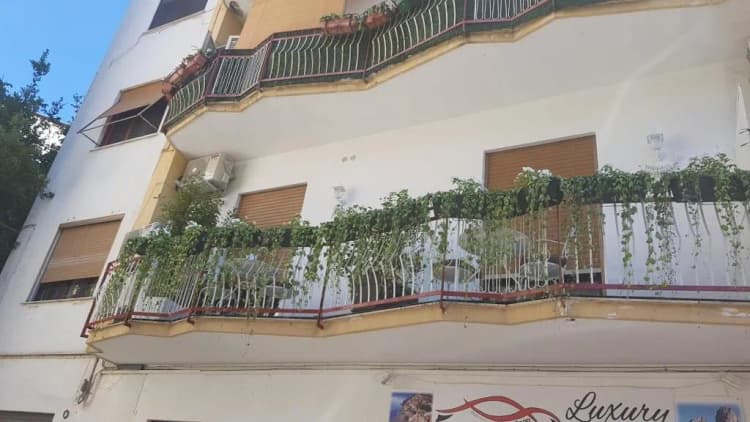 General view, Sorrento Flower Rooms, Naples