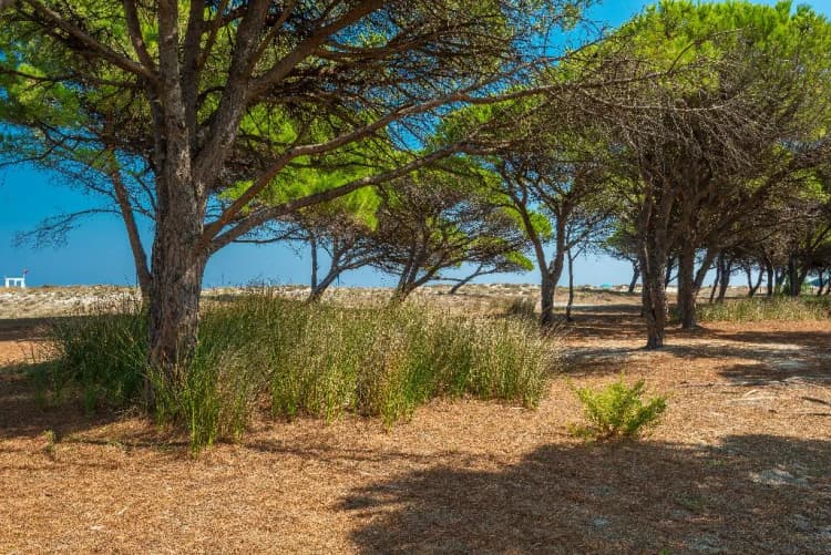 Beach, Le Dimore di Budoni, Olbia
