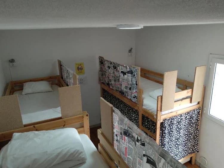 Bed in dormitory FEMALE ROOM Room, Puerto Nest Hostel, Tenerife