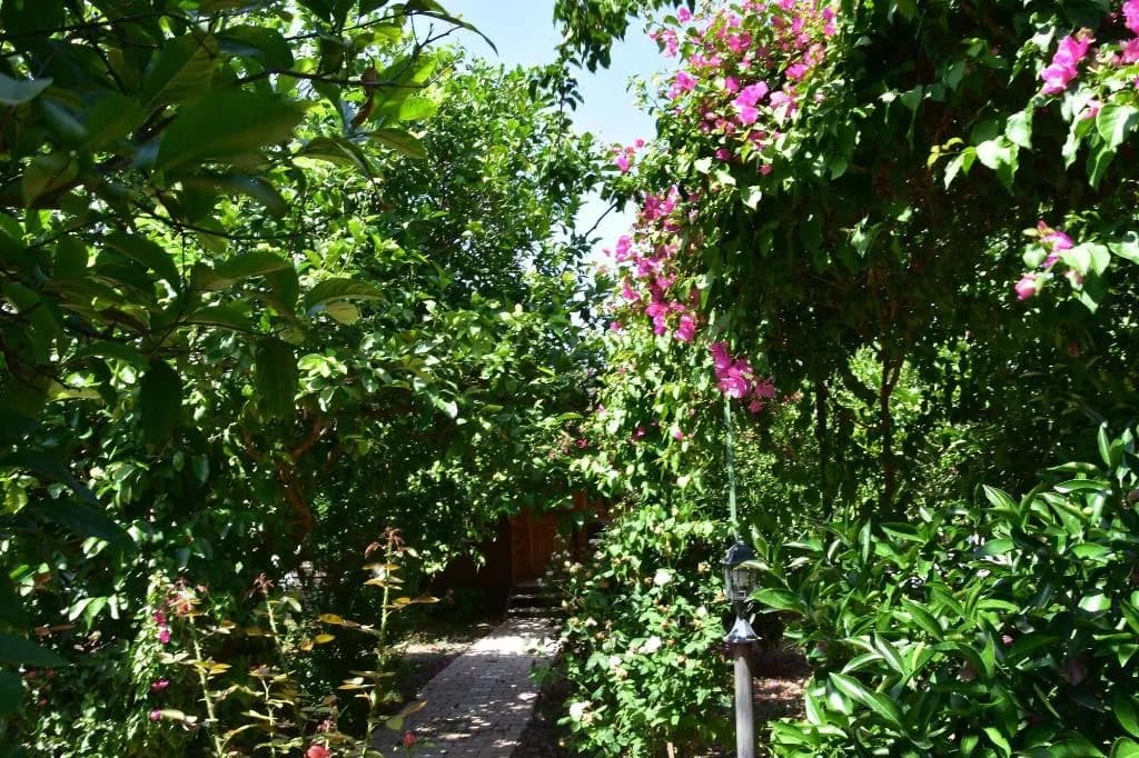 General view, Lemon Garden Lodge, Antalya