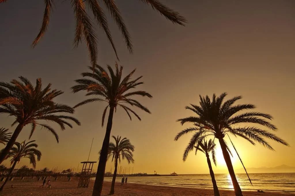 Beach, MLL Palma Bay Club Resort, Majorca