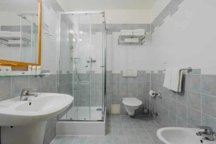 Double or Twin ECONOMY Room, Louis Leger, Prague