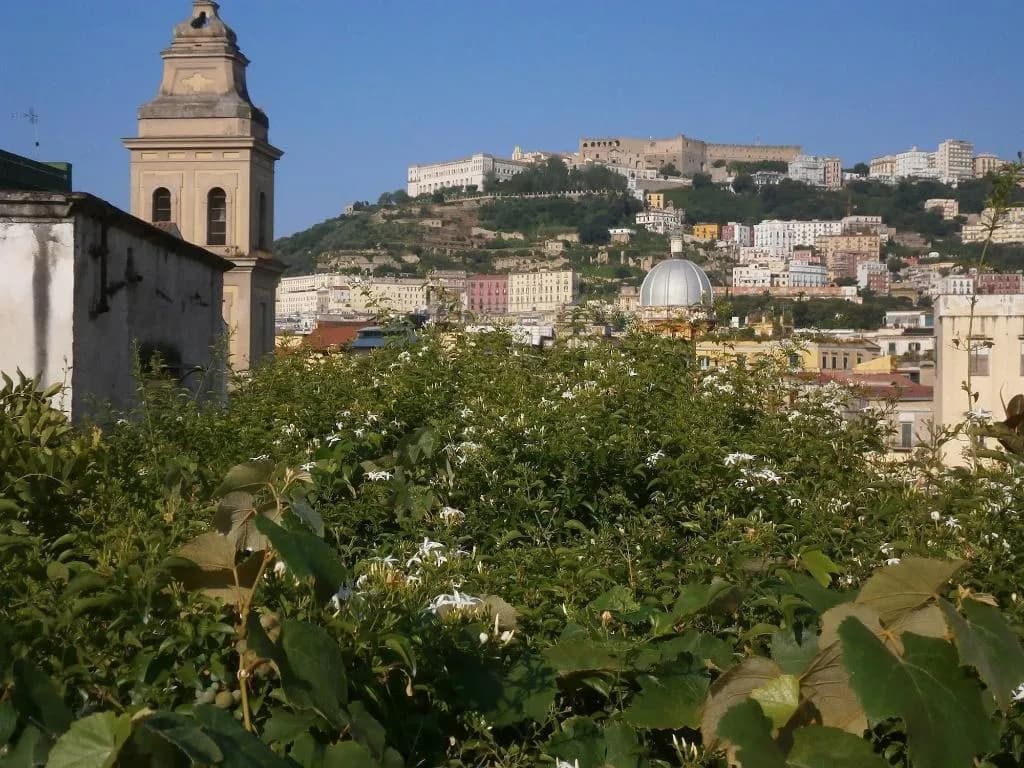 General view, Come D'Incanto a Napoli, Naples