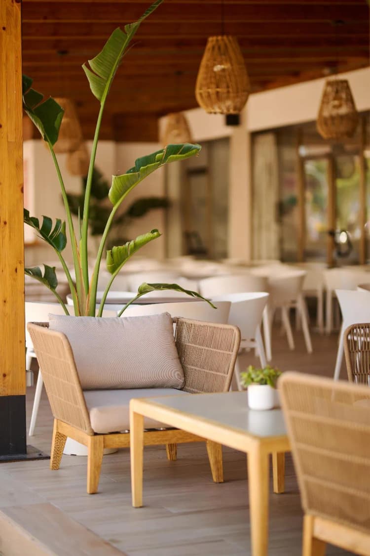 Bar, Alua Boccaccio, Majorca