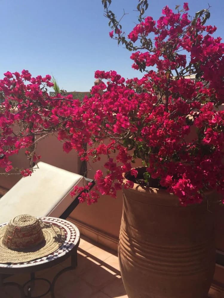 General view, Riad Assouel, Marrakech