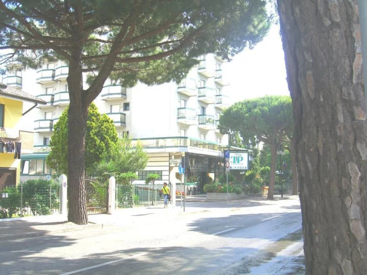 General view, New Tiffany's Park, Venice