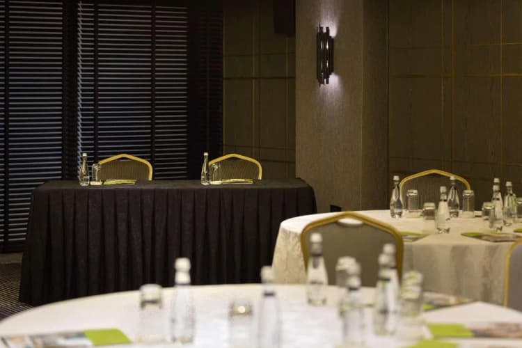 Conferences, Doubletree By Hilton Izmir Airport, Izmir