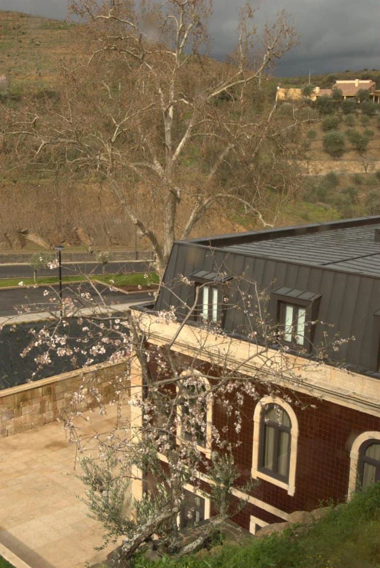 General view, Longroiva Hotel Rural, Porto