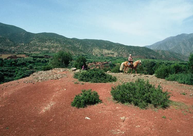 General view, Domaine de la roseraie, Marrakech