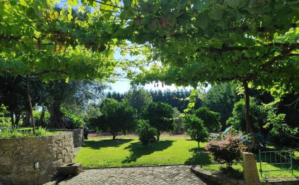 General view, Casas Da Quinta Da Cancela, Porto
