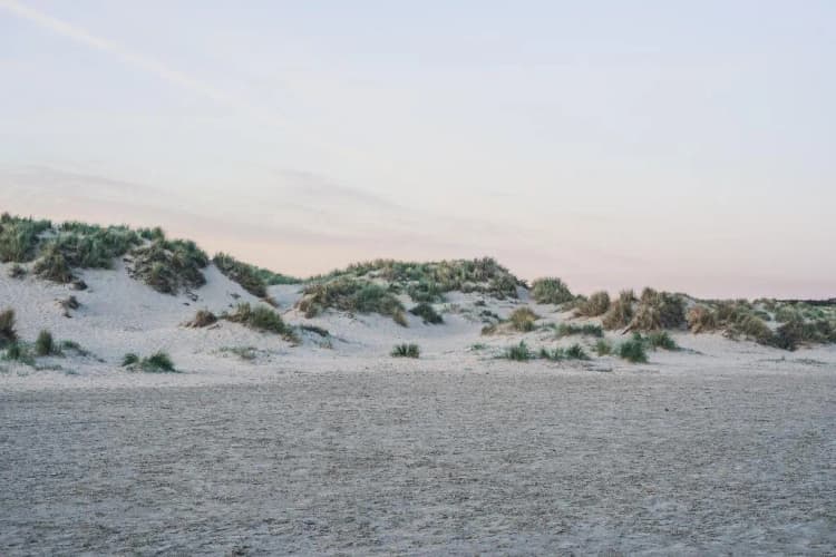 Beach, Leonardo Hotel IJmuiden Seaport Beach, Amsterdam