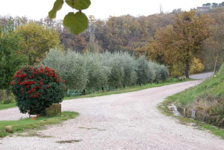 General view, Agriturismo Fonte Chiara, Umbria