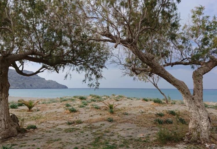 Beach, Emilia Apartments, Crete