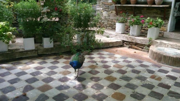 General view, Nisanyan Hotel, Izmir
