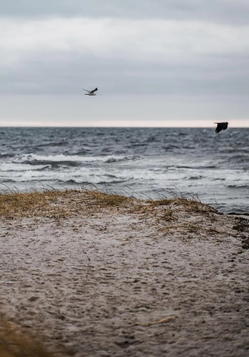Beach, Strandmotellet, Copenhagen
