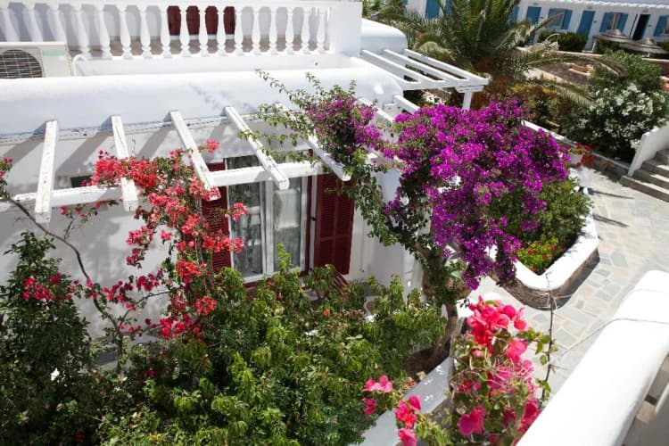 General view, Domna, Mykonos