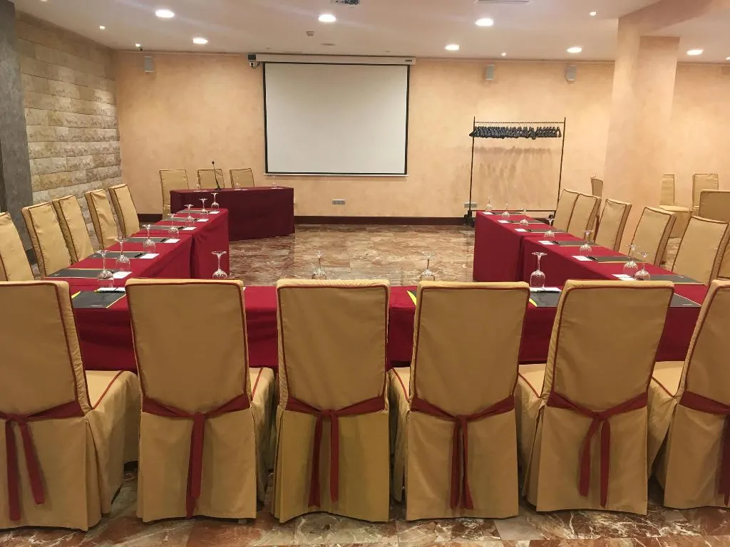 Conferences, Sercotel Alfonso VI, Madrid