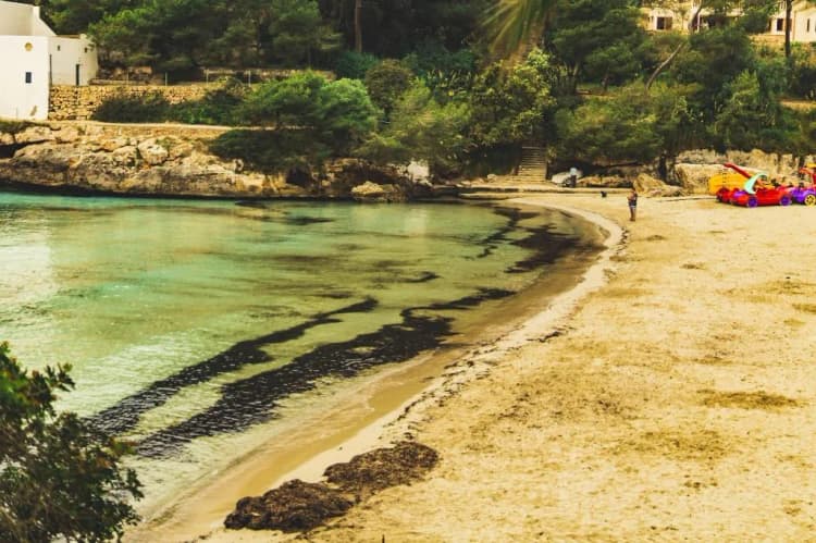 Beach, Hostal Playa Cala Santanya, Majorca