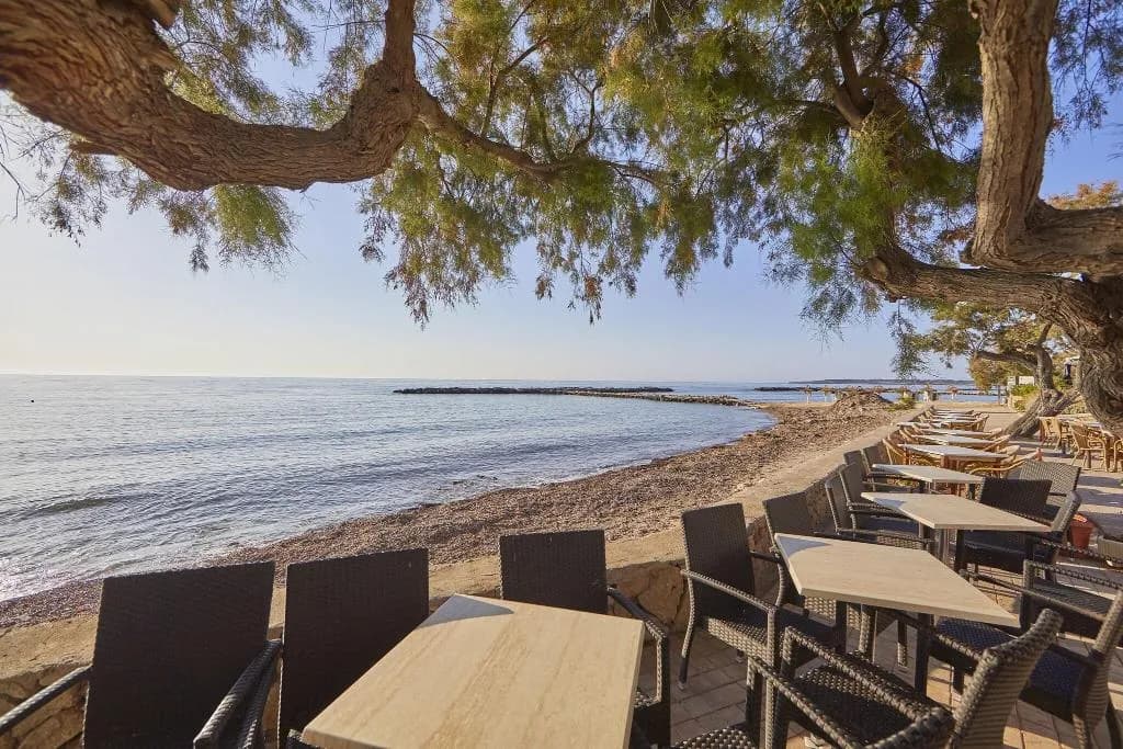 Bar, Hotel Ilusion Moreyo Adults Only, Majorca