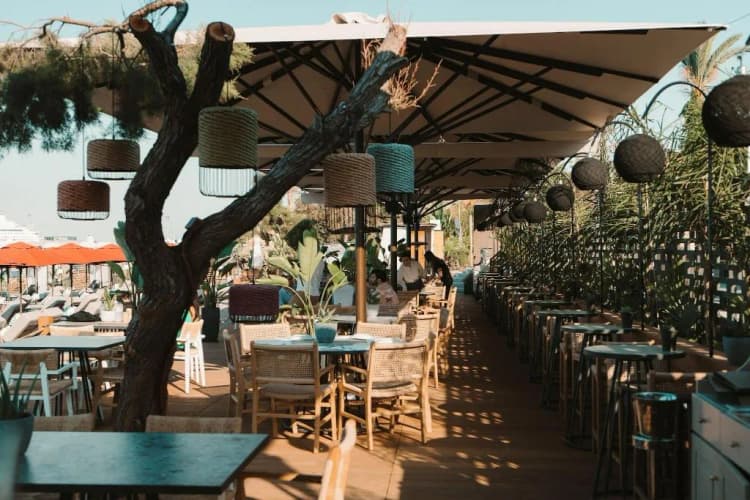 Bar, Grande Albergo Delle Rose, Rhodes