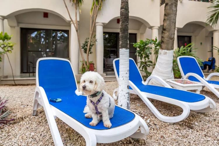 General view, Hacienda Paradise Boutique by BFH, Playa Del Carmen