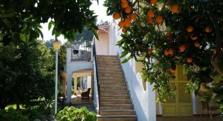 General view, Hostal Amistad, Majorca