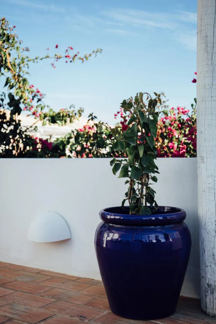 DOUBLE DELUXE Room, Octant Vila Monte, Algarve