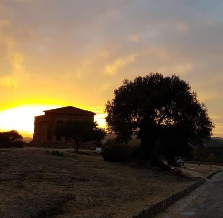 Le Maioliche, Catania
