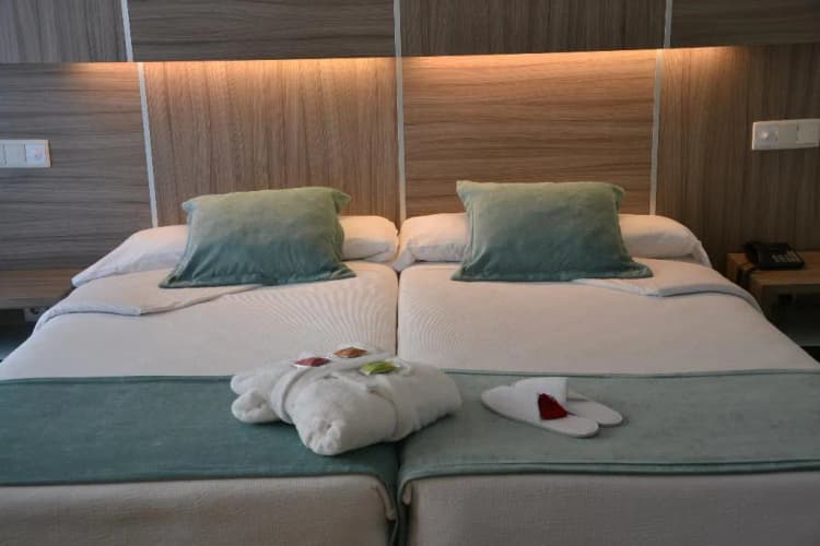 DOUBLE SINGLE USE STANDARD Room, Serrano, Madrid