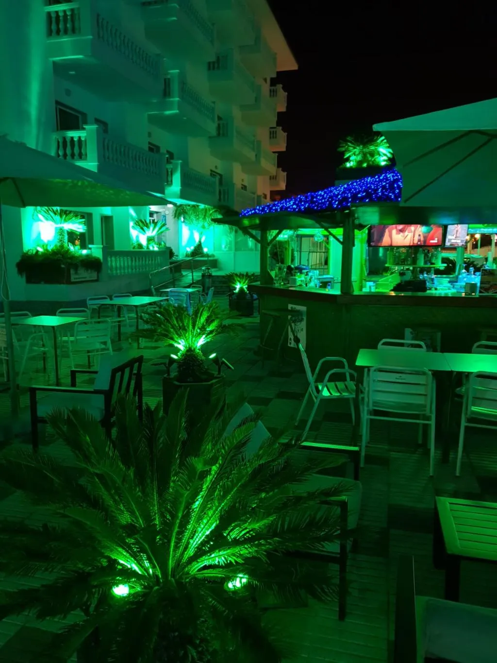 Bar, Apartments Europa - Blanes, Costa Brava