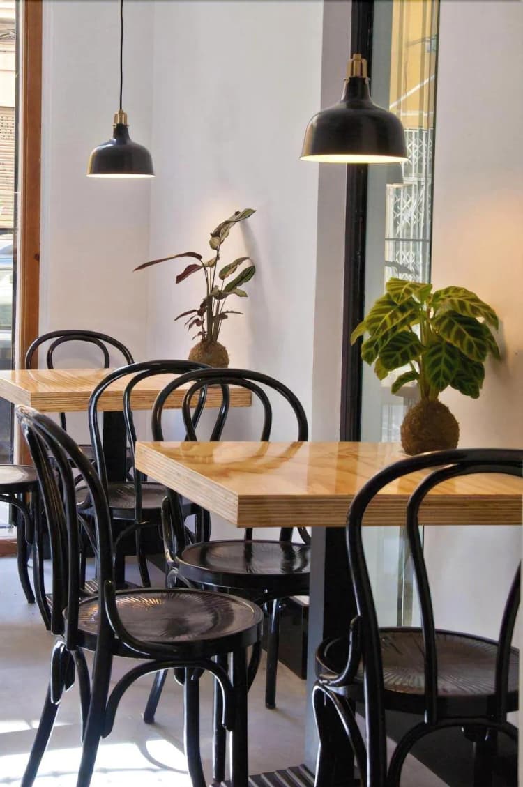 Lobby, Zalamera B&B, Valencia
