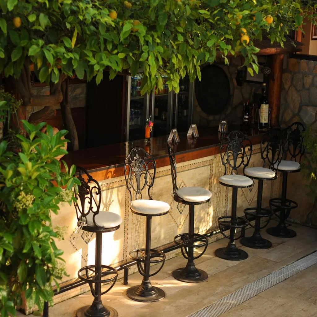 Bar, Villa Daffodil, Dalaman