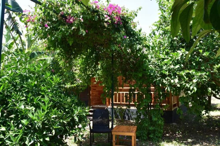 General view, Lemon Garden Lodge, Antalya