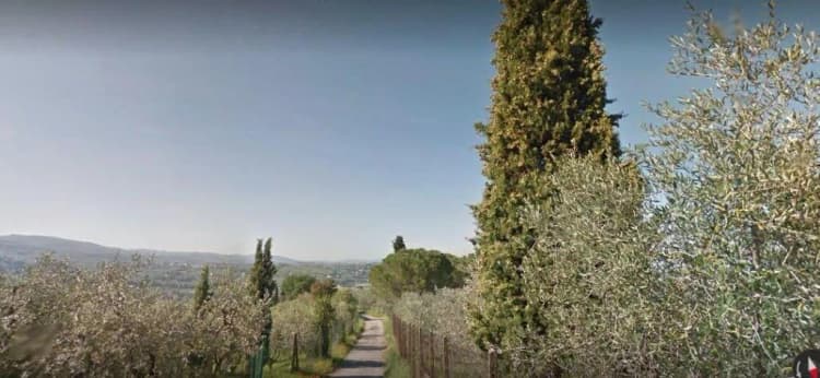 General view, A Casa Di Olivo, Florence