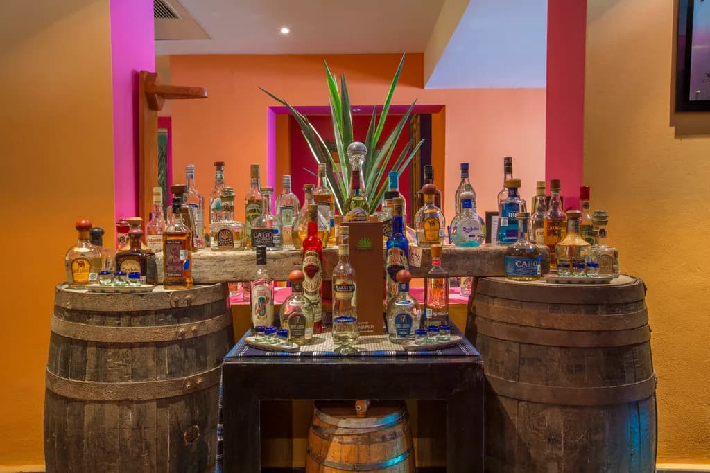 Bar, Grand Oasis Palm - All Inclusive, Cancun Area