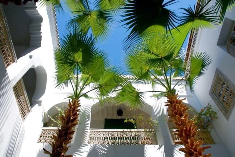 General view, Riad Vert Marrakech, Marrakech