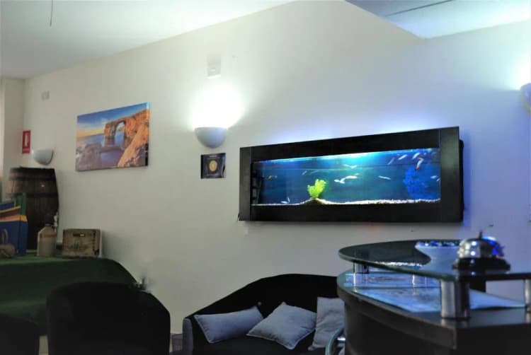 Bar, Tarona Guesthouse, Malta