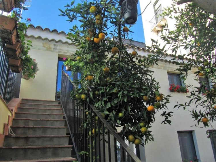 General view, La Corte Dei Limoni, Catania