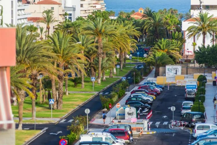 General view, Udalla Park, Tenerife