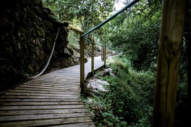 General view, Lavandeira Douro Nature and Wellness, Porto